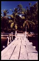 Discovery Island Pier